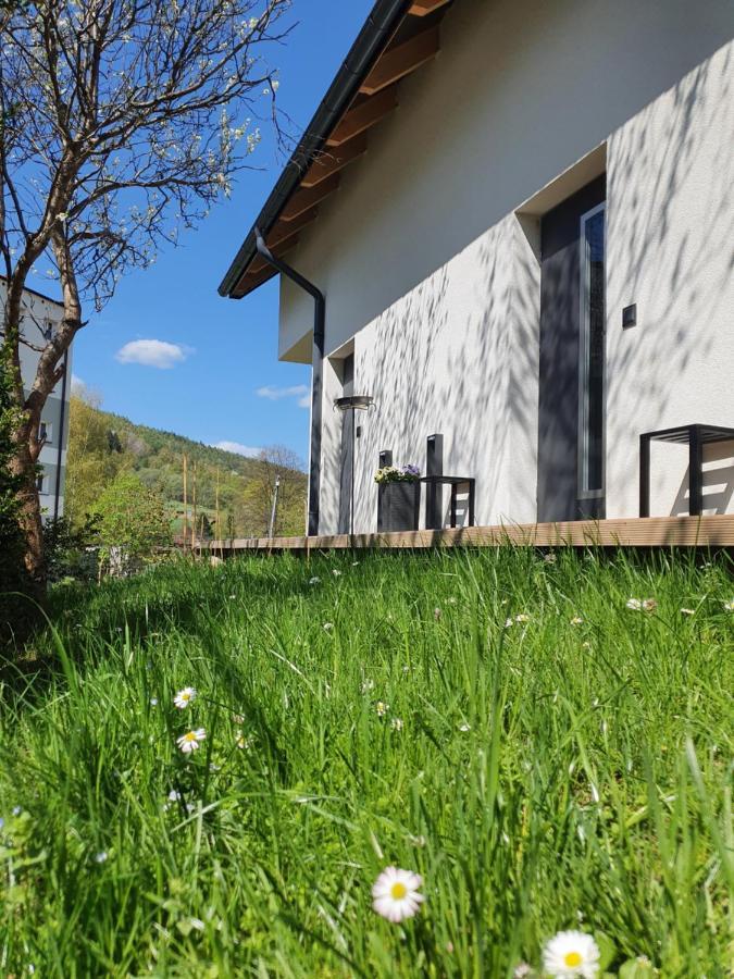 Ogrodowa 4 Apartment Ustrzyki Dolne Luaran gambar